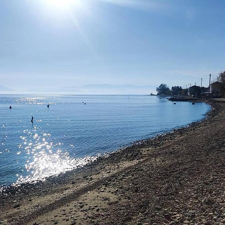 Malakion Rustic Studio Seaside View 외부 사진